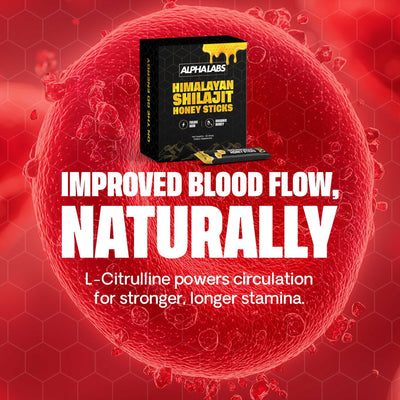 ALPHALABS SHILAJIT HONEY PACKS