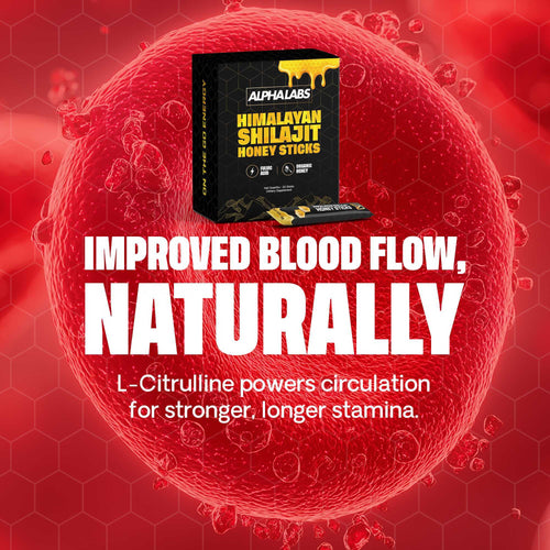 ALPHALABS SHILAJIT HONEY PACKS