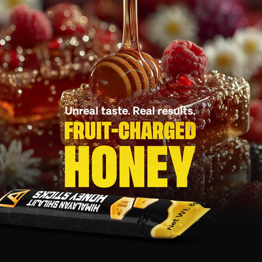 ALPHALABS SHILAJIT HONEY PACKS
