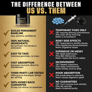 ALPHALABS HIMALAYAN SHILAJIT GUMMIES™