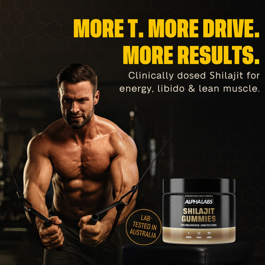 ALPHALABS HIMALAYAN SHILAJIT GUMMIES