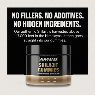 ALPHALABS HIMALAYAN SHILAJIT GUMMIES
