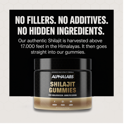 ALPHALABS HIMALAYAN SHILAJIT GUMMIES