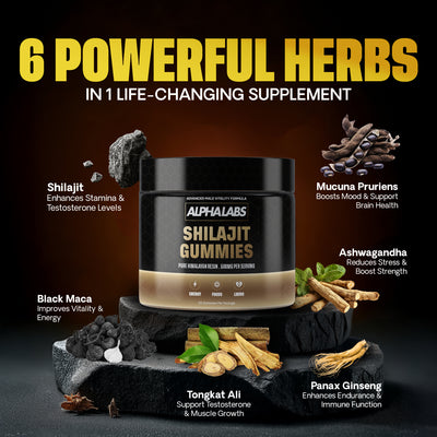 ALPHALABS HIMALAYAN SHILAJIT GUMMIES TRIAL