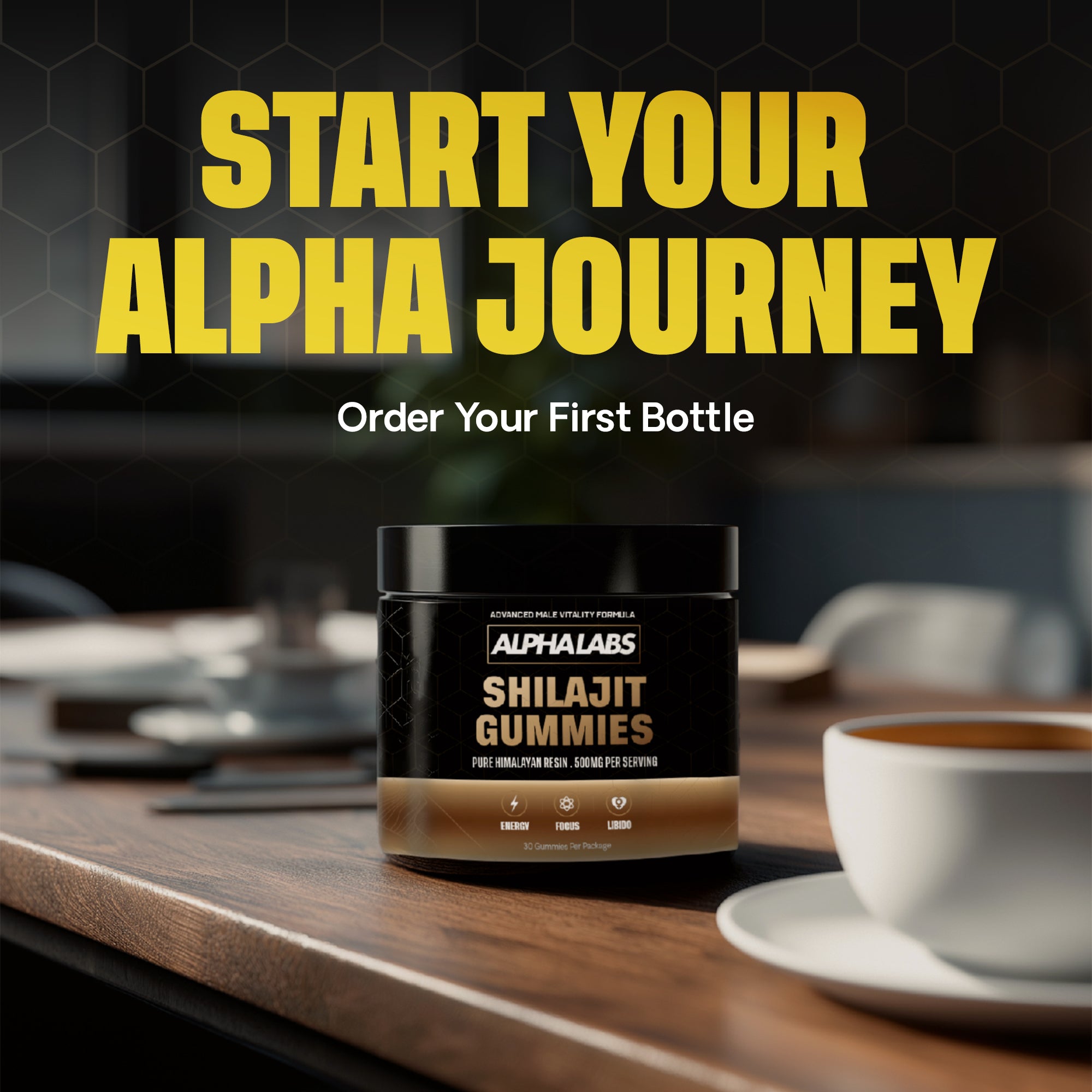 ALPHALABS HIMALAYAN SHILAJIT GUMMIES