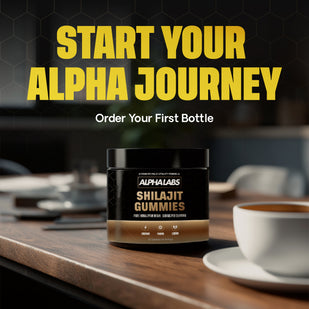 START YOUR JOURNEY