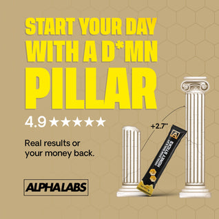 ALPHALABS SHILAJIT HONEY PACKS