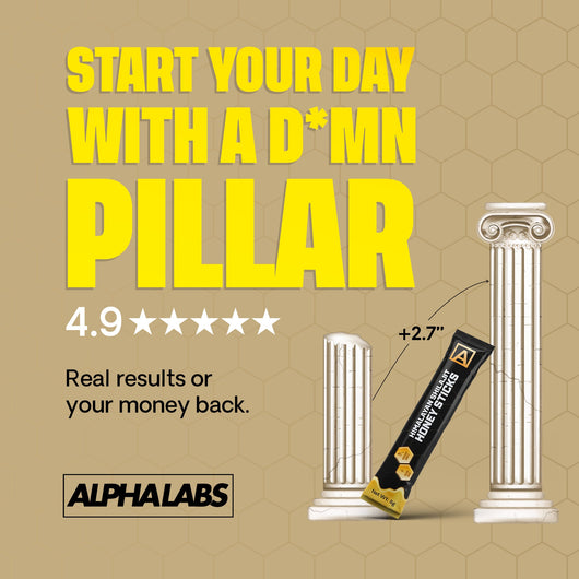 ALPHALABS SHILAJIT HONEY PACKS