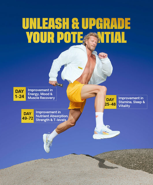 ALPHALABS SHILAJIT HONEY PACKS