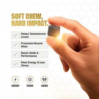 ALPHALABS HIMALAYAN SHILAJIT GUMMIES